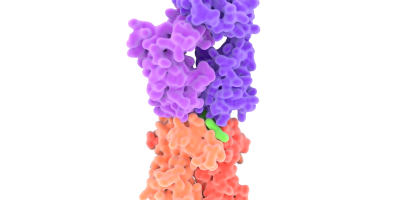 Fujitsu Kozuchi Generative AI