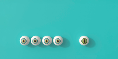 Fujitsu Kozuchi for Vision